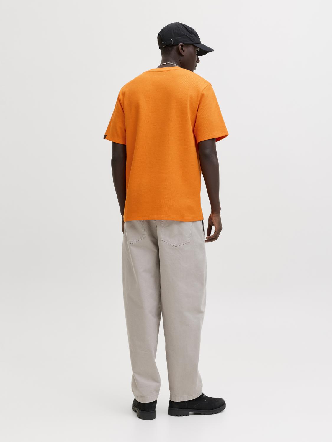 model_shot-back